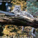 Christophe Rodriguez Profile Picture