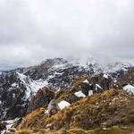 Alexandrine Hickle Profile Picture