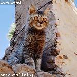 Zoey Bernhard Profile Picture