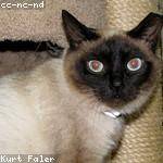 Giovani Moen Profile Picture