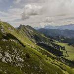 Barney McCullough Profile Picture