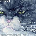 Rachael Sauer Profile Picture