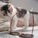 Okey Jacobs Profile Picture