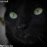 Dorcas Abbott Profile Picture