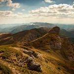 Stone Barton Profile Picture