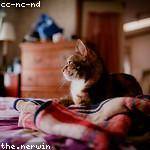 Jerrod Kuhn Profile Picture