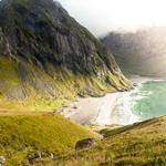 Lincoln Swift Profile Picture