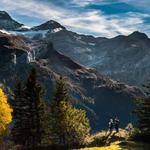 Price Will Profile Picture