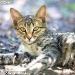 Jaime Stoltenberg Profile Picture