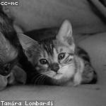 Holly Parker Profile Picture