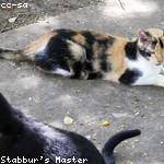 Isabell Jacobs Profile Picture