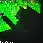 Jordane Reichert Profile Picture