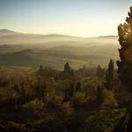 Hilton Bruen Profile Picture