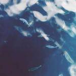 Sigrid Tromp Profile Picture