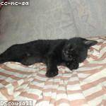 Dewayne Beer Profile Picture