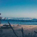 Brain Olson Profile Picture