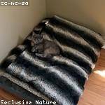 Mose Gerlach Profile Picture