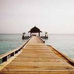 Mylene Haley Profile Picture