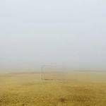 Mathew Hartmann Profile Picture