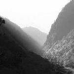 Jamarcus McGlynn Profile Picture