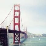 Orpha Wolf Profile Picture