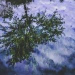 Stan Johns Profile Picture