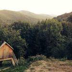 Ewell Dooley Profile Picture