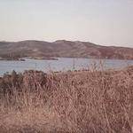 Aiden Toy Profile Picture