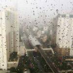 Aaron White Profile Picture