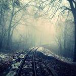 Savion Stanton Profile Picture