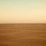 Roberto Hammes Profile Picture