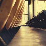 Damon Emmerich Profile Picture