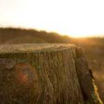 Hugh Smitham Profile Picture