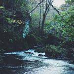 Alysha Gulgowski Profile Picture