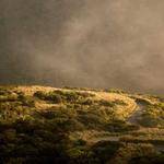 Clint Von Profile Picture