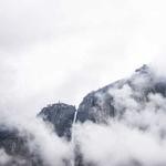 Boyd Williamson Profile Picture