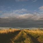 Wilfrid Satterfield Profile Picture