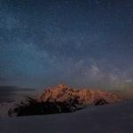 Rosalinda Harvey Profile Picture