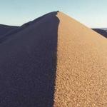 Idella Veum Profile Picture