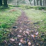 Cale Sanford Profile Picture