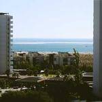 Maymie Schuster Profile Picture