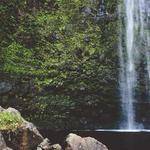 Ezekiel Kuvalis Profile Picture