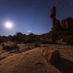 Vivianne Heidenreich Profile Picture