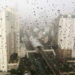 Hobart Zulauf Profile Picture