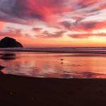 Dolores Schiller Profile Picture