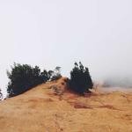 Noble Friesen Profile Picture