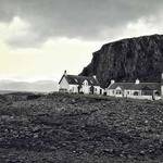 Helen Hessel Profile Picture