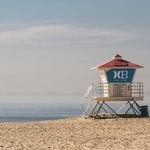 Brandt Collins Profile Picture