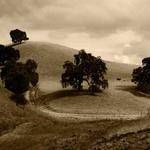 Daron Jakubowski Profile Picture