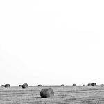 Manuela Douglas Profile Picture